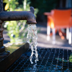Water coming out of a faucet in a backyard.