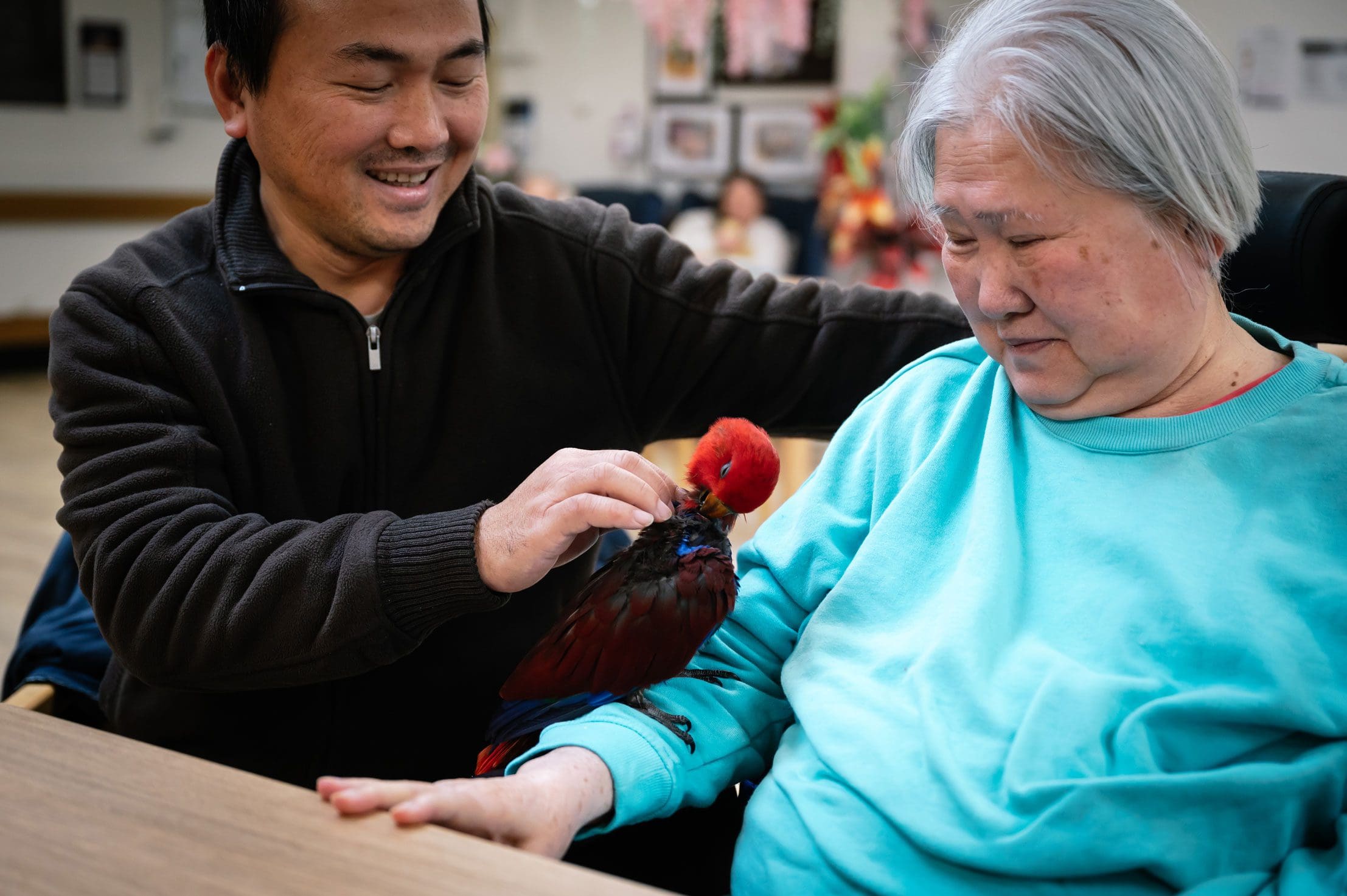 An Asian man in a residential aged care home petting a parrot.