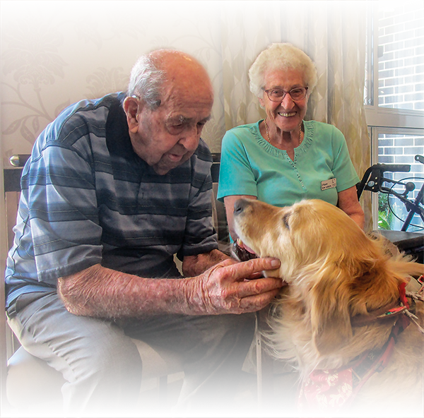 An elderly couple enjoys a moment with a golden retriever in a home-like setting.