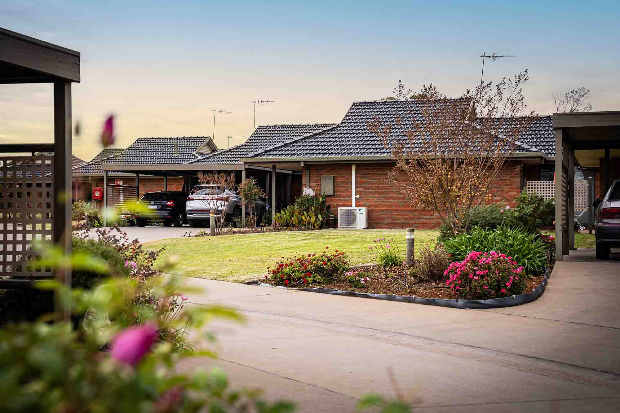 RF RL ILU Banksia Court Introduction 06